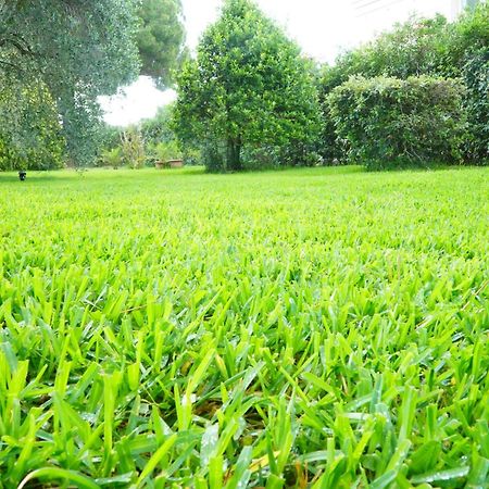 Casaisoladelba Apartment Lacona Ngoại thất bức ảnh